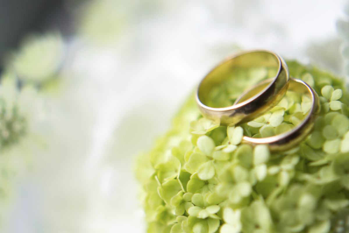 Wedding Ceremonies